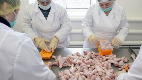 Россия наращивает экспорт мяса птицы в Африку – Лахтюхов